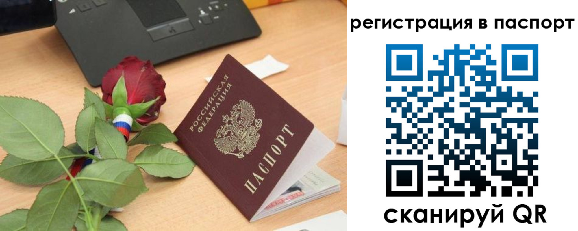 временная регистрация поиск в Хабаровске